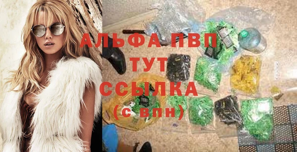 СК Балахна