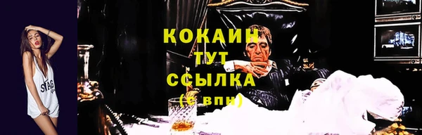 прущие крисы Баксан