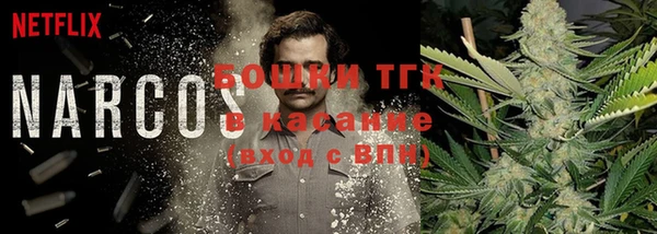 прущие крисы Баксан