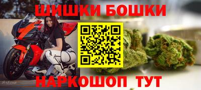 сатива Краснознаменск