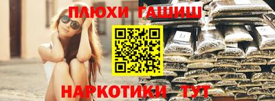 сатива Краснознаменск