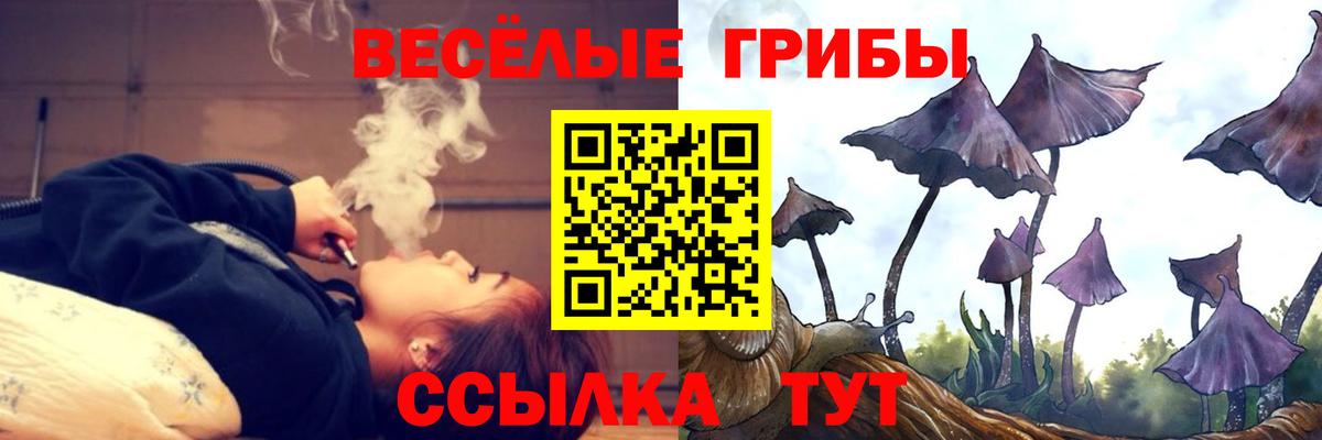 Галлюциногенные грибы Cubensis  Вход с VPN  Кушва 